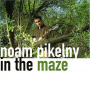 Pikelny, Noam - In the Maze