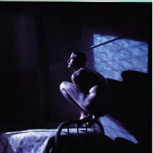 Gabriel, Peter - Birdy