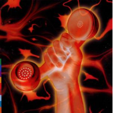 Gabriel, Peter - Secret World Live