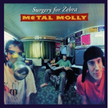 Metal Molly - Surgery For Zebra