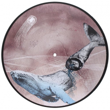 Mest  S - Basal Ganglia