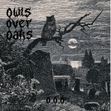 Owls Over Oaks - Owls Over Oaks