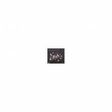 V/A - Density of Standards