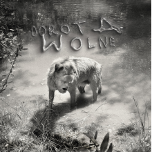DOROTA - Wolne