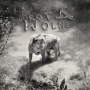 DOROTA - Wolne