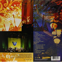 Foo Fighters - Skin And Bones