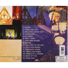 Foo Fighters - Skin And Bones (Live)