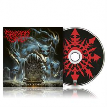 Frozen Soul - No Place of Warmth