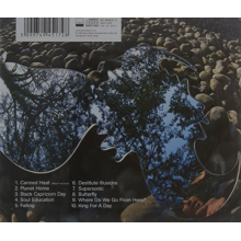 Jamiroquai - Synkronized