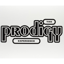 Prodigy - Experience
