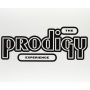 Prodigy - Experience