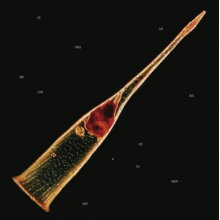 Leprous - Melodies Of Atonement