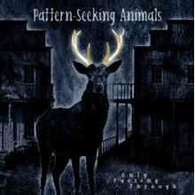 Pattern-Seeking Animals - Only Passing Through