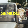 Rasmentalism - Geniusz
