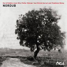 Sly & Robbie meet Nils Petter Molvaer feat. Eivind - Nordub