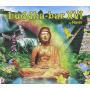 V/A - Buddha Bar 16