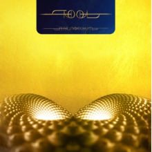 TOOL - Fear Inoculum