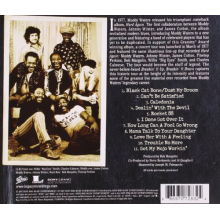 Waters, Muddy, Johnny Winter & James Cotton - Breakin' It Up, Breakin' It Down