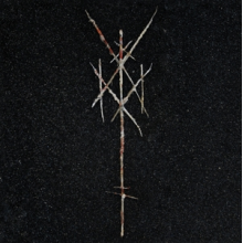 Wiegedood - There's Always Blood At The End Of The Road