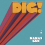Mamas Gun - Dig!