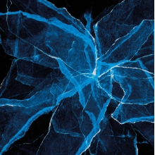 Moran, Jason & Marcus Gilmore & Blankfor.Ms - Shards