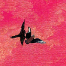 Rojas, Sebastian - En La Orilla