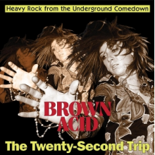 V/A - Brown Acid: the 22 Trip