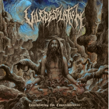 Vile Desolation - Annihilating the Consciousness