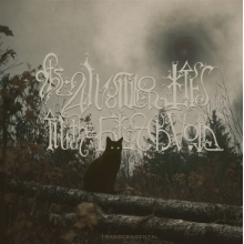 Answer Lies the Black Void - Transcendental