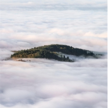 Coltaine - Forgotten Ways