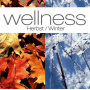 V/A - Wellness:Herbst/Winter
