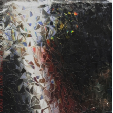 Tignor, Christopher - Bleeding Past the Edges