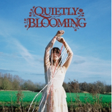 Bellis, Daisy - Quietly Blooming