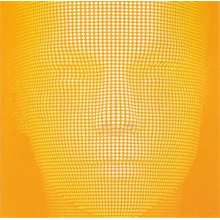 Bjork - Alarm Call Part 2