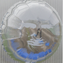 Dari Bay - Surprise Wish