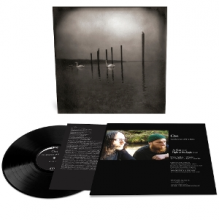 Om - Conference of the Birds