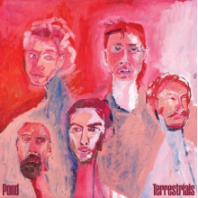 Pond - Terrestrials