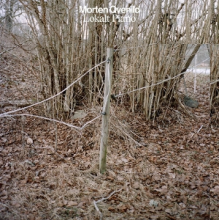 Qvenild, Morten - Lokalt Piano