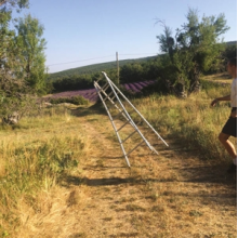 Caroline - Dark Blue