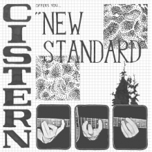 Cistern - New Standard