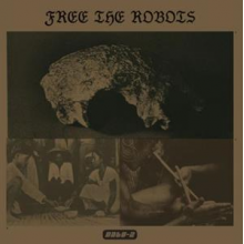 Free the Robots - Datu 2