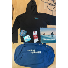 Lipa, Dua - Radical Optimism