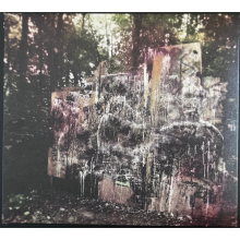 La Dispute - Wildlife