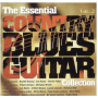 V/A - Country Blues Guitar Collection 2