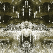 Wheeldon, Nick - Tadpoles