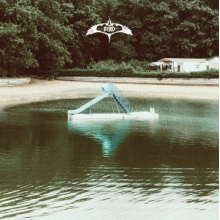 Bird Experience - The Bird Experience