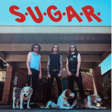 S.U.G.A.R. & Blowers - Split