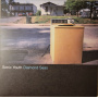 Sonic Youth - Diamond Seas Lp (rsd)