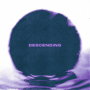 Elwood Stray - Descending LP
