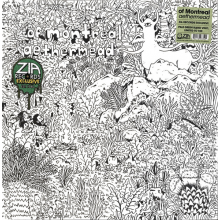 Of Montreal - Aethermead